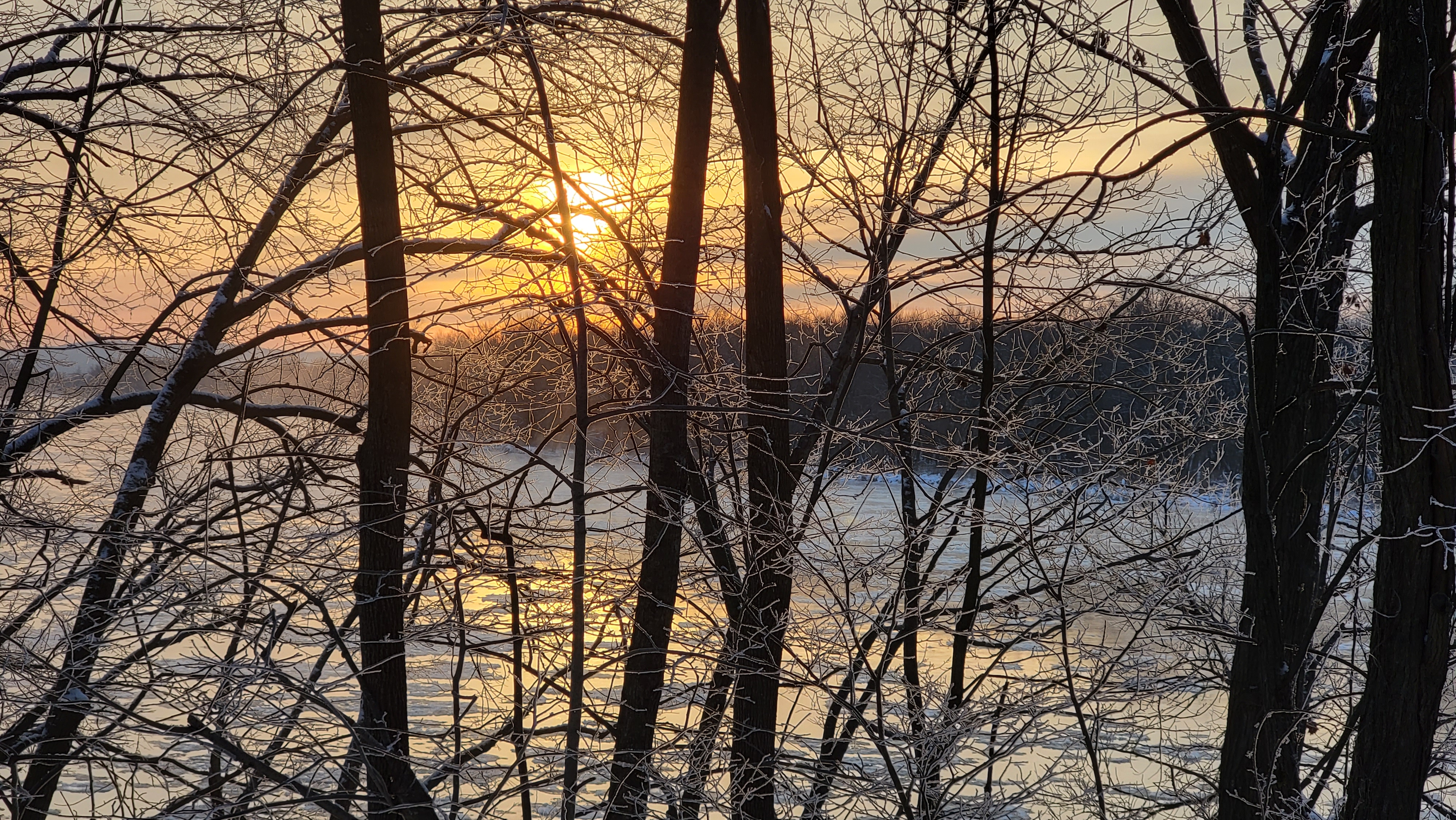 Winter sunrise over the Wisconsin River through snow-covered trees — photo by Julia Henley